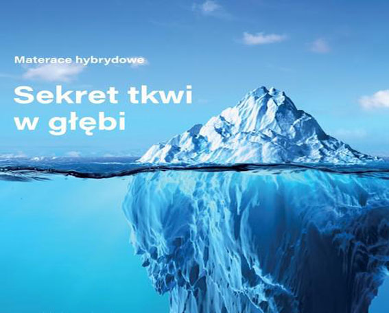 zdjecie