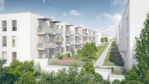 Lipa Piotrowska - Wrocław ()