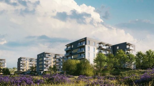 Via Flora - Gdańsk (Chełm)